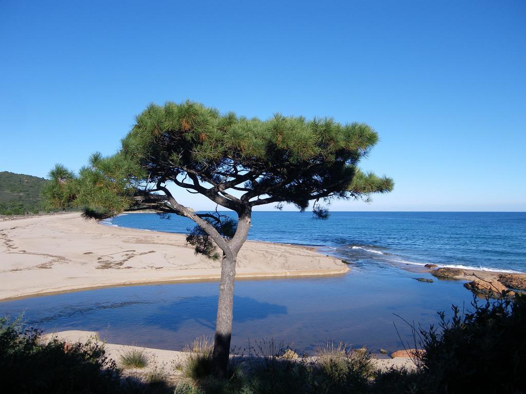 Domaine De La Testa Sainte-Lucie de Porto-Vecchio Eksteriør bilde